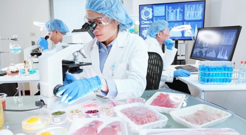 Vigilância Sanitária e Manipulação Alimentícia