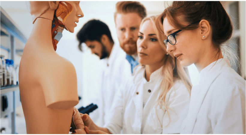 Anatomia e Fisiologia Humana