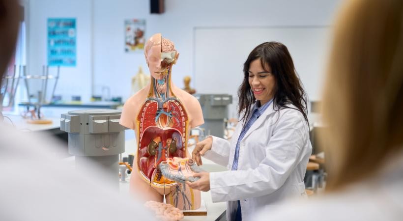 Anatomia Humana