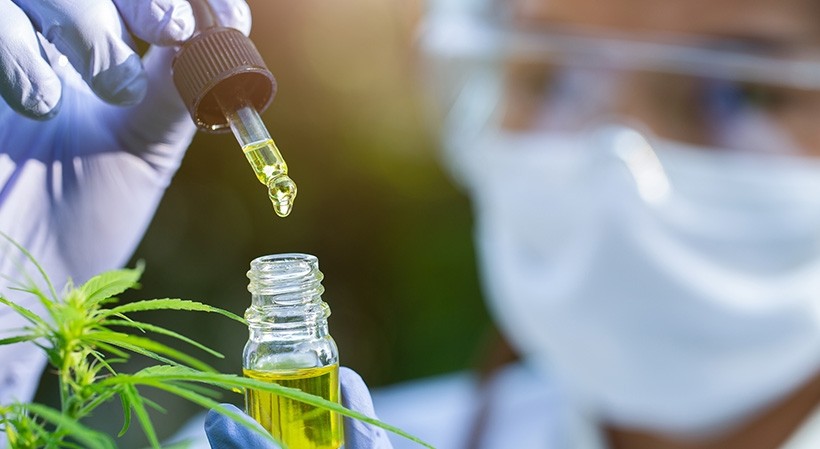 Cannabis Medicinal Para Farmacêuticos