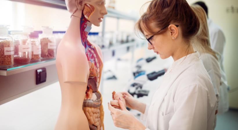 Fisiologia Humana
