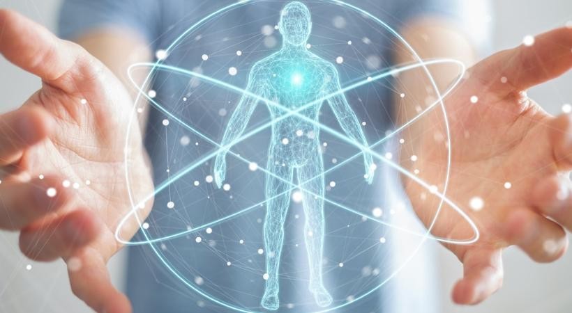 Anatomia Humana e Implicações na Aprendizagem